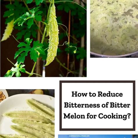 how to reduce bitterness in bitter gourd